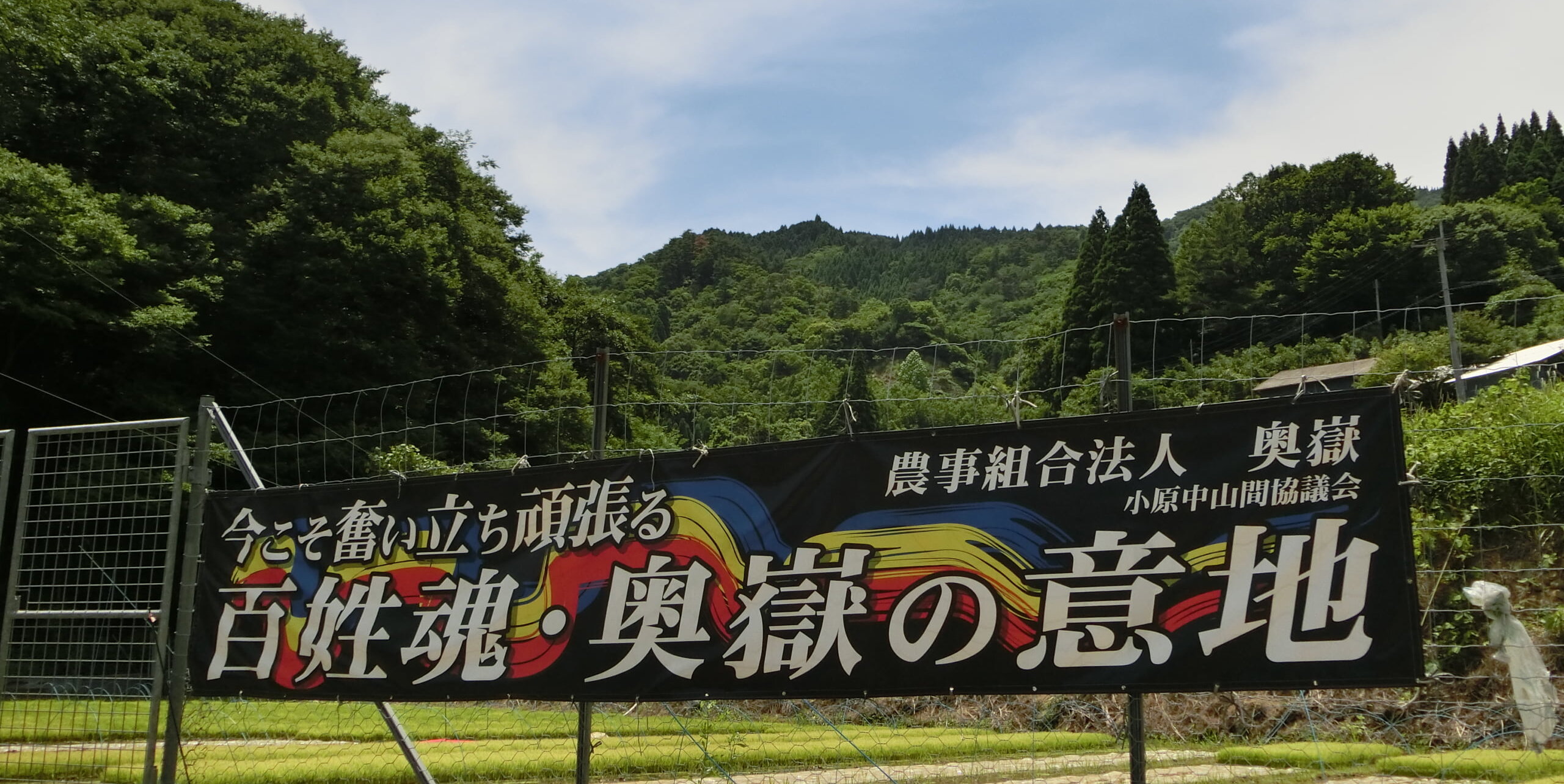 奥岳川滞迫峡ヤマメ渓流釣り