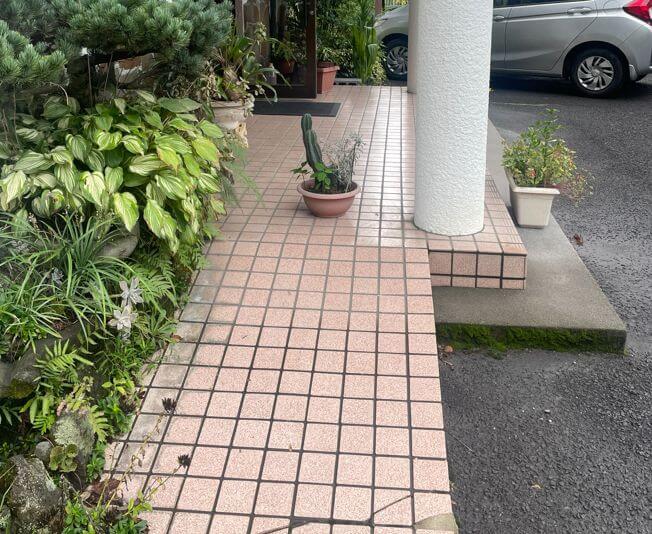 民宿のサボテン