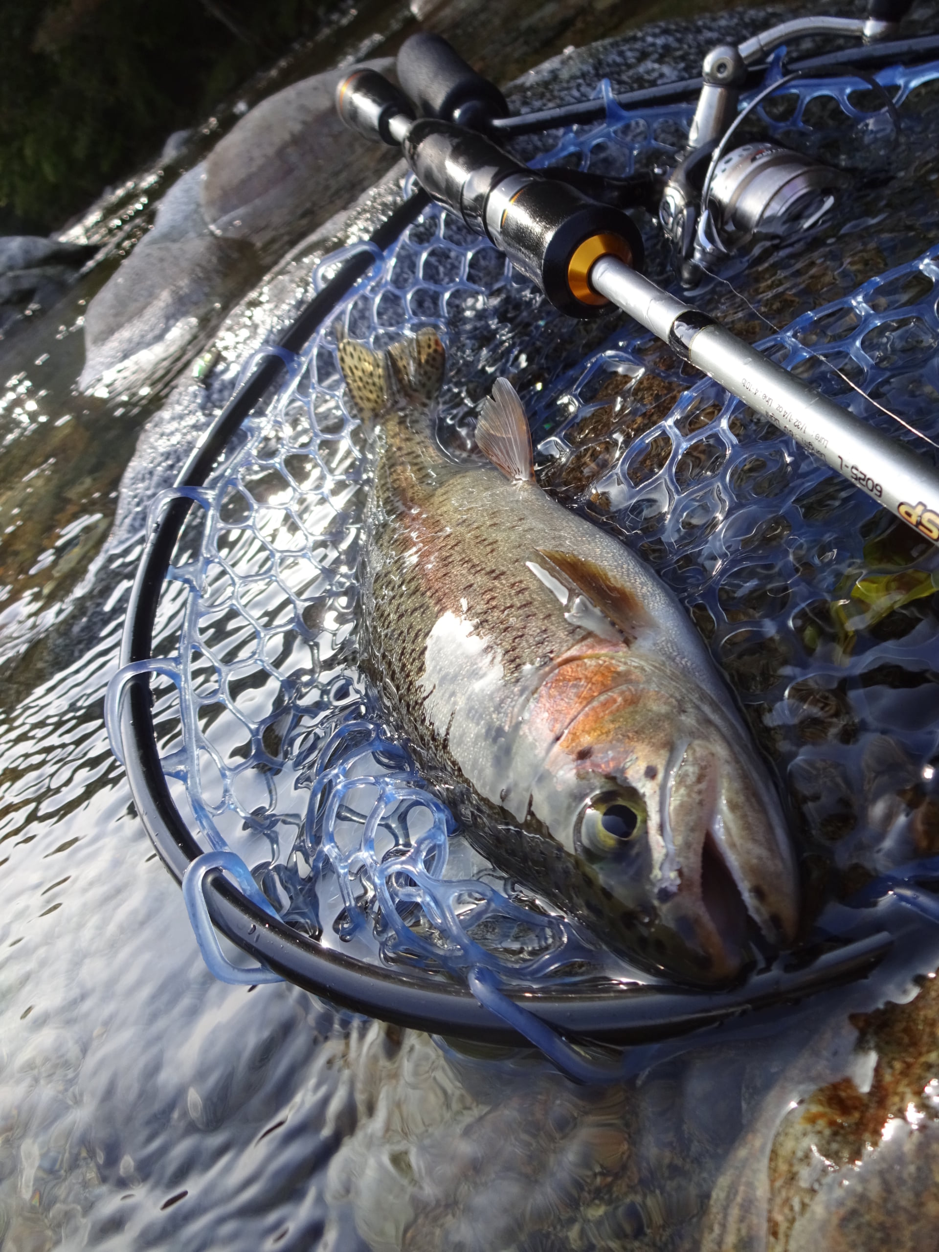 尻別川でニジマス釣り 22年10月札幌釣り 釣れない男の渓流釣りポイント紹介