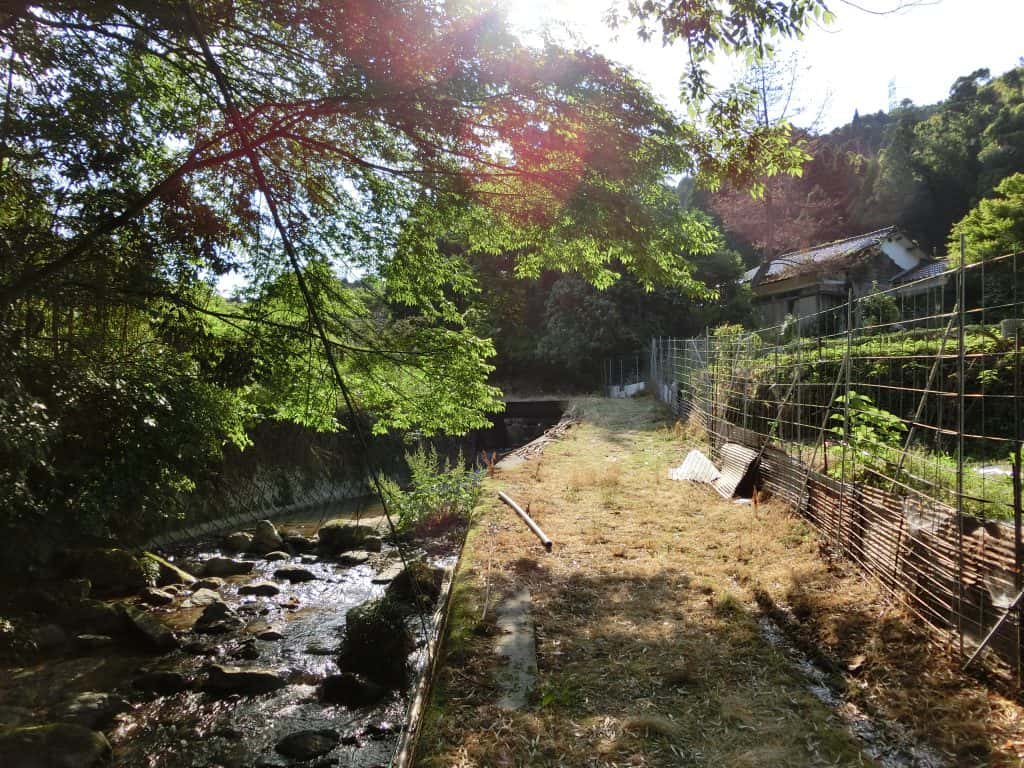 飯塚山口のヤマメ渓流釣り