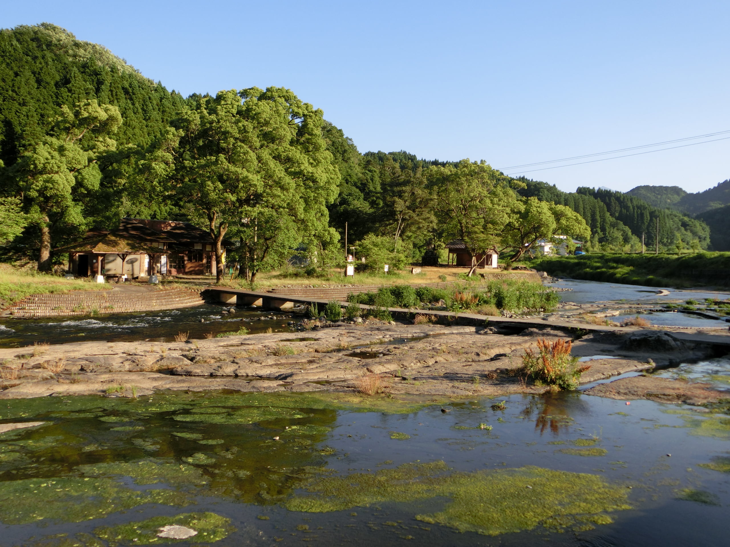 緒方川中島公園アマゴ渓流釣り