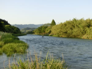 万江川ヤマメ渓流釣り