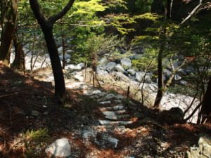 鈴鹿川御弊川ヤマメ渓流釣り