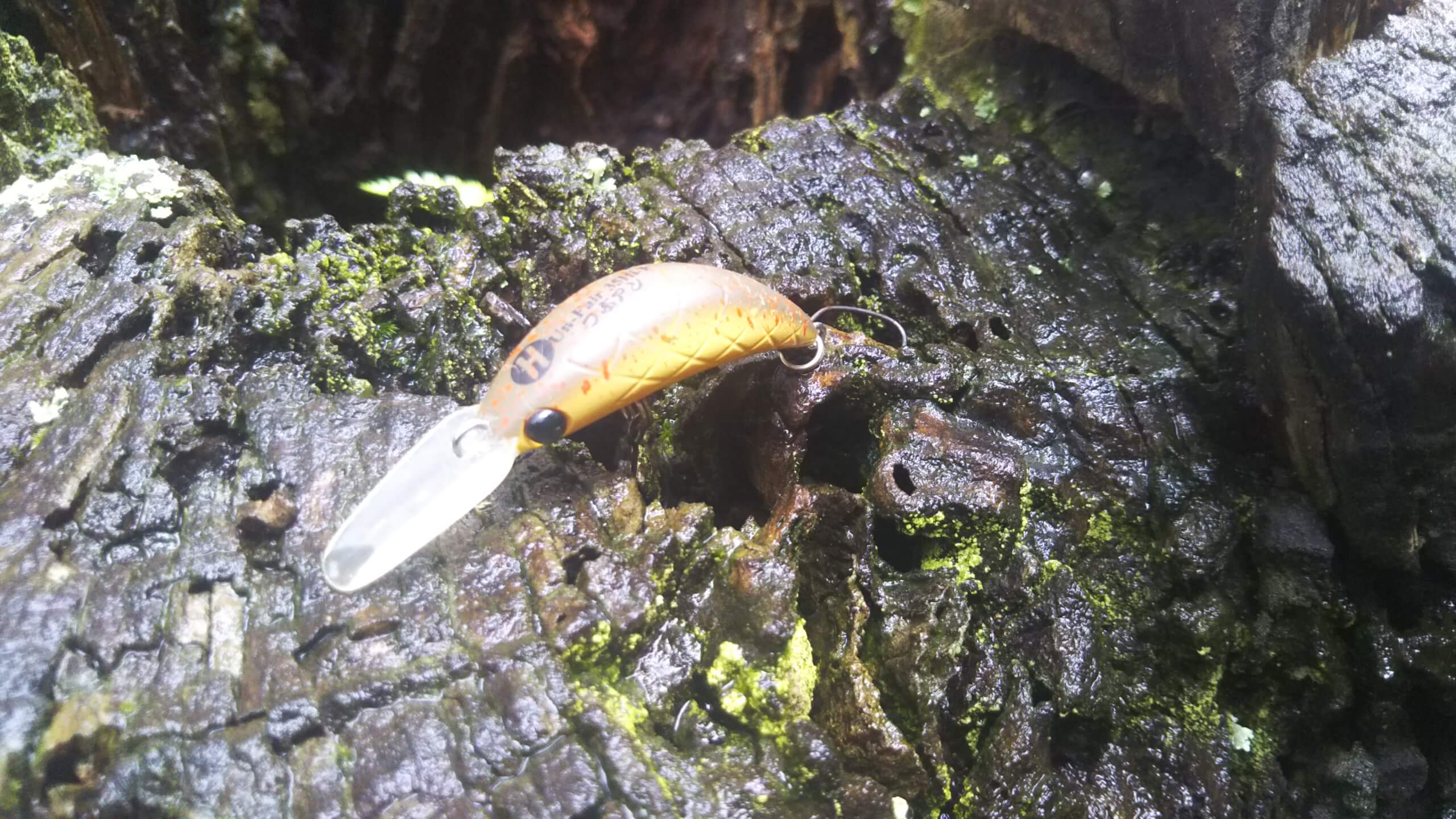 管釣り用のクランクベイトのおすすめ エリアトラウトでのクランクのアクションと選び方を解説 釣れない男の渓流釣りポイント紹介