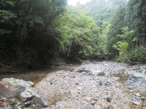 京都美山八丁川渓流釣り