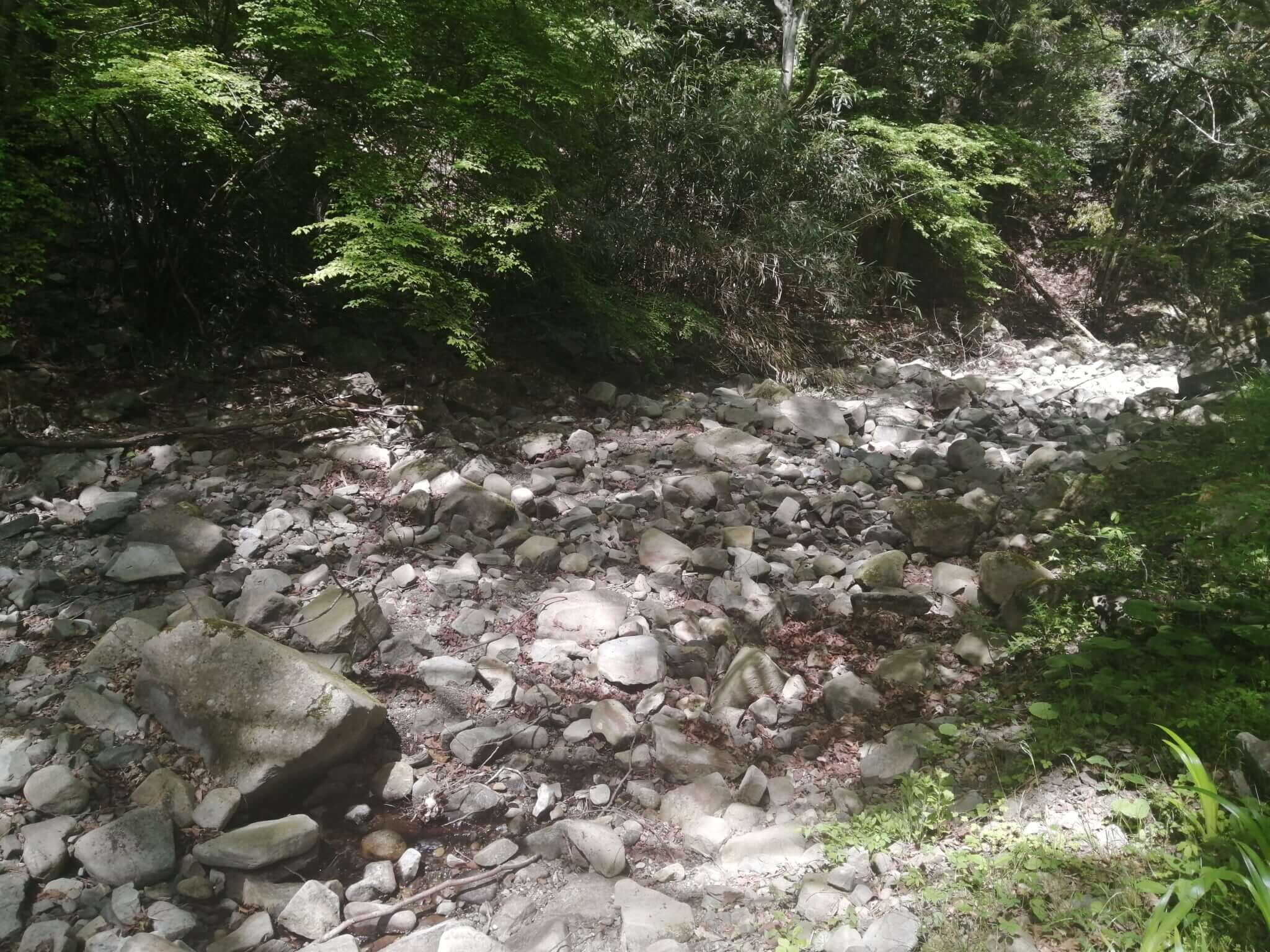 【無料でアマゴ釣り】香川県内場川で渓流釣り【21年4月四国②】