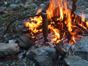 イワナキャンプ焚き火